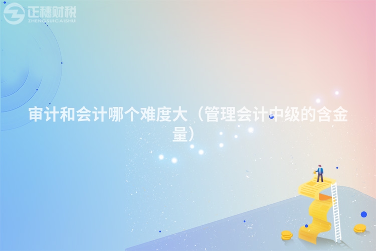 审计和会计哪个难度大（管理会计中级的含金量）