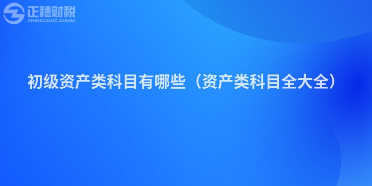 初级资产类科目有哪些（资产类科目全大全）
