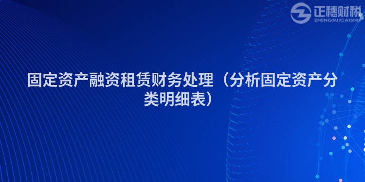 固定资产融资租赁财务处理（分析固定资产分类明细表）