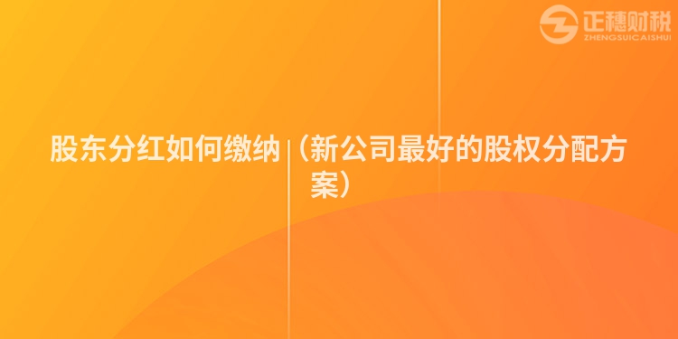 股东分红如何缴纳（新公司最好的股权分配方案）