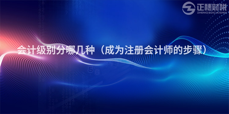 会计级别分哪几种（成为注册会计师的步骤）