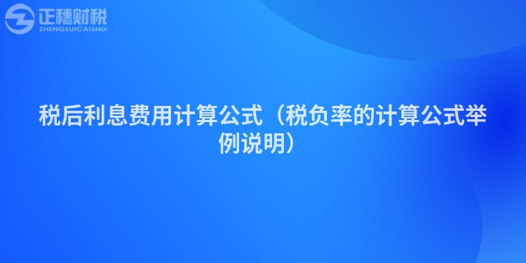 税后利息费用计算公式（税负率的计算公式举例说明）