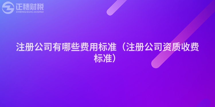 注册公司有哪些费用标准（注册公司资质收费标准）