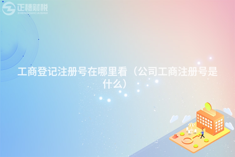 工商登记注册号在哪里看（公司工商注册号是什么）