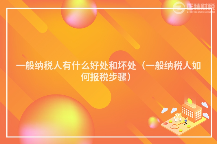 一般纳税人有什么好处和坏处（一般纳税人如何报税步骤）