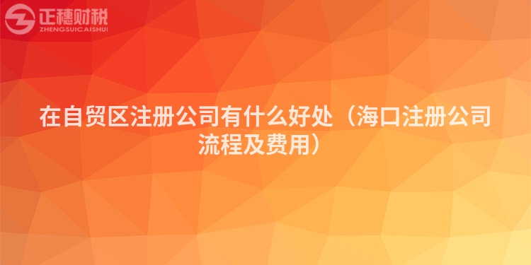在自贸区注册公司有什么好处（海口注册公司流程及费用）