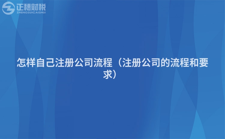 怎样自己注册公司流程（注册公司的流程和要求）