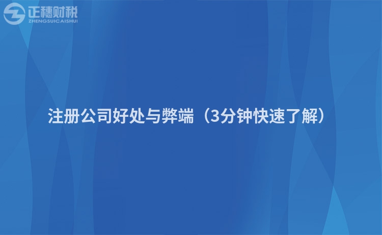 注册公司好处与弊端（3分钟快速了解）