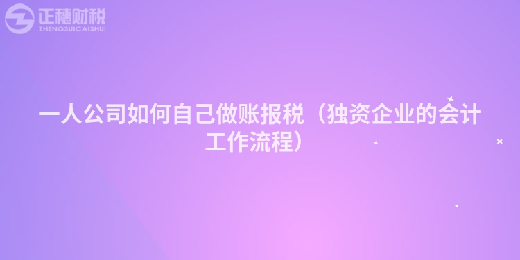 一人公司如何自己做账报税（独资企业的会计工作流程）