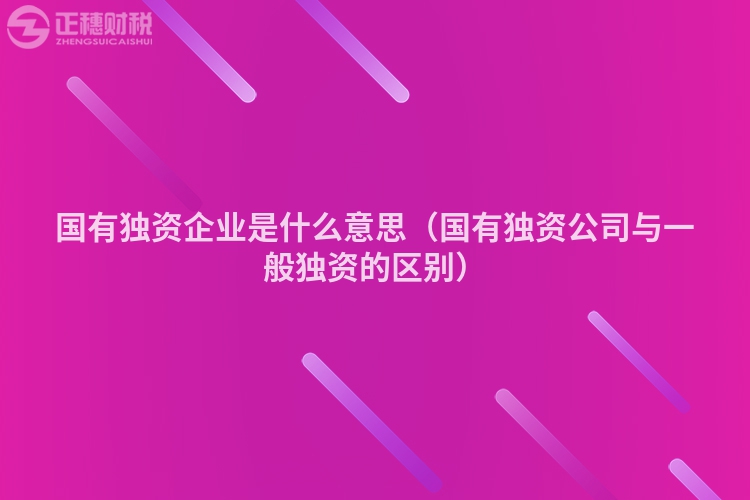 国有独资企业是什么意思（国有独资公司与一般独资的区别）