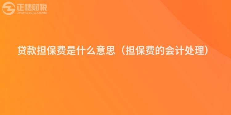 贷款担保费是什么意思（担保费的会计处理）