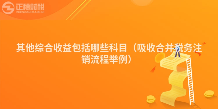 其他综合收益包括哪些科目（吸收合并税务注销流程举例）