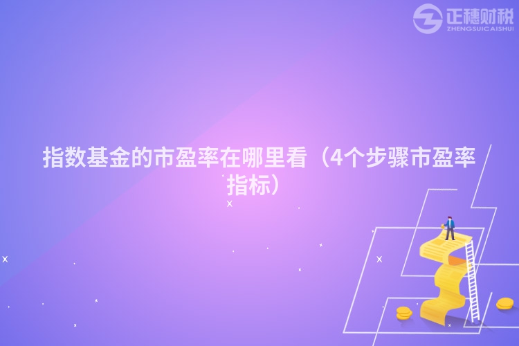 指数基金的市盈率在哪里看（4个步骤市盈率指标）
