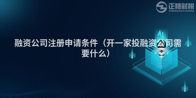 融资公司注册申请条件（开一家投融资公司需要什么）