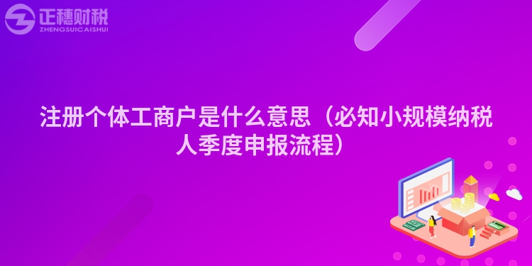 注册个体工商户是什么意思（必知小规模纳税人季度申报流程）