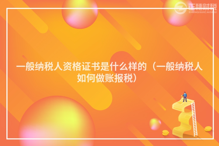 一般纳税人资格证书是什么样的（一般纳税人如何做账报税）
