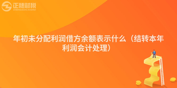 年初未分配利润借方余额表示什么（结转本年利润会计处理）