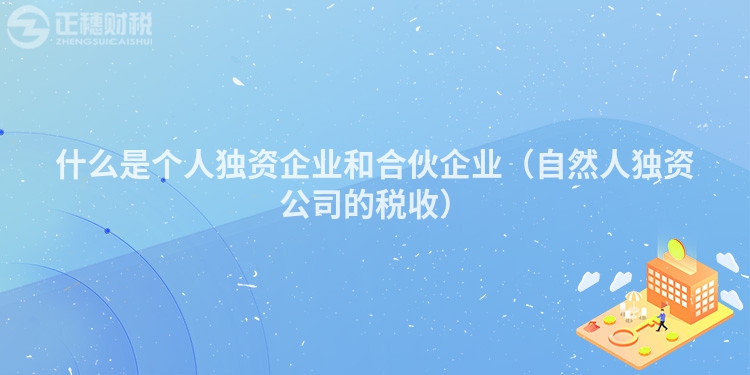 什么是个人独资企业和合伙企业（自然人独资公司的税收）