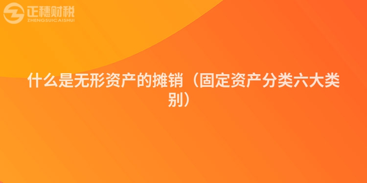 什么是无形资产的摊销（固定资产分类六大类别）