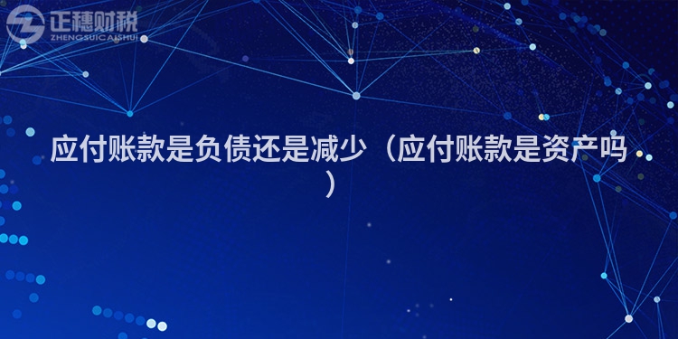 应付账款是负债还是减少（应付账款是资产吗）