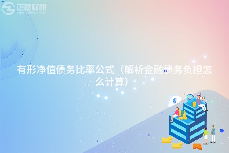 有形净值债务比率公式（解析金融债务负担怎么计算）