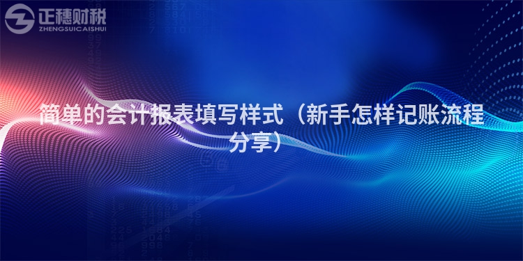 简单的会计报表填写样式（新手怎样记账流程分享）