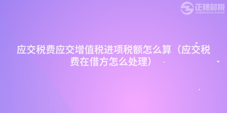 应交税费应交增值税进项税额怎么算（应交税费在借方怎么处理）