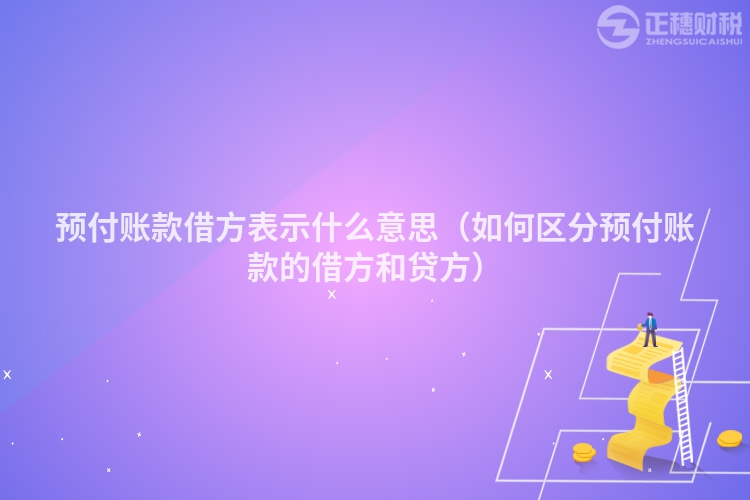 预付账款借方表示什么意思（如何区分预付账款的借方和贷方）