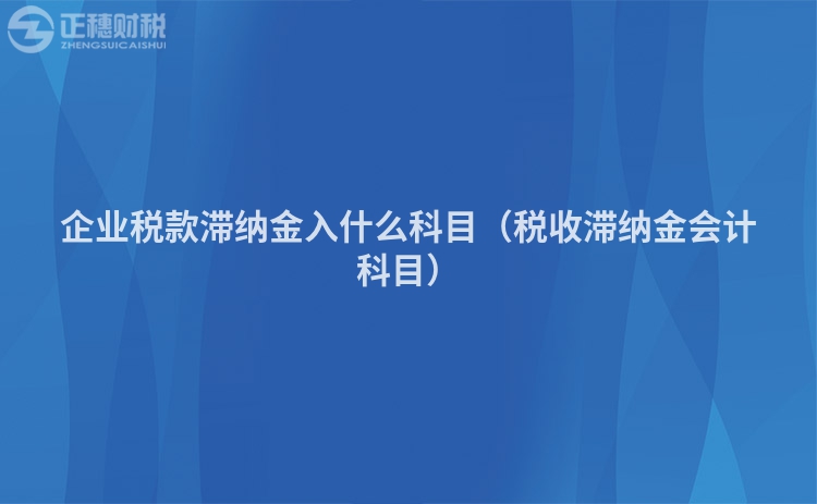 企业税款滞纳金入什么科目（税收滞纳金会计科目）