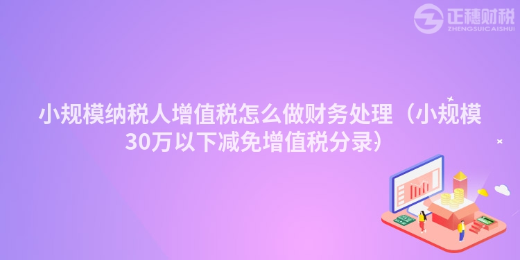 小规模纳税人增值税怎么做财务处理（小规模30万以下减免增值税分录）