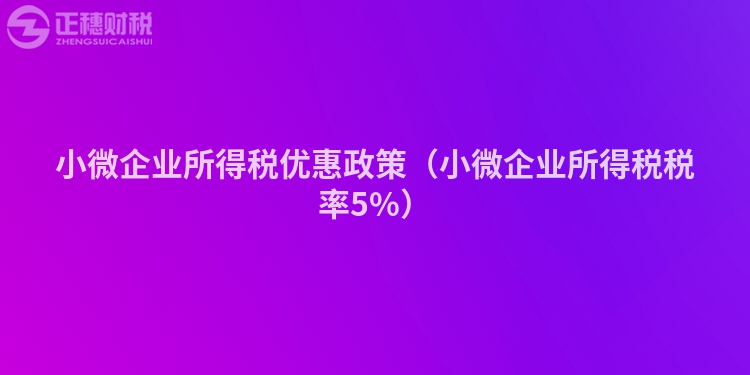 小微企业所得税优惠政策（小微企业所得税税率5%）