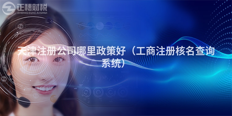 天津注册公司哪里政策好（工商注册核名查询系统）